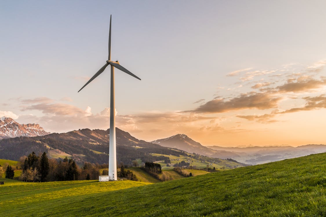 Vindkraftverk i naturen